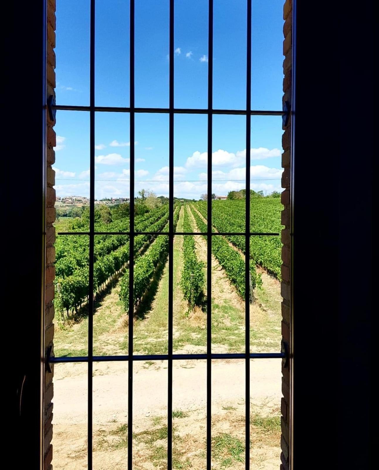 Agriturismo Il Divin Casale Torgiano Exteriör bild