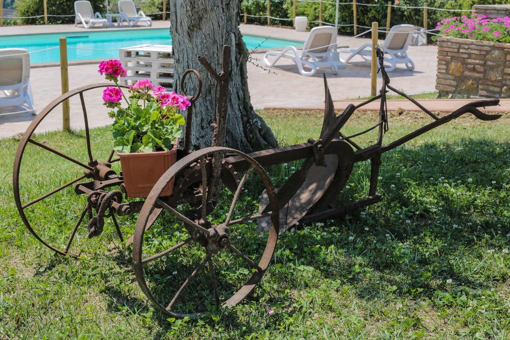 Agriturismo Il Divin Casale Torgiano Exteriör bild