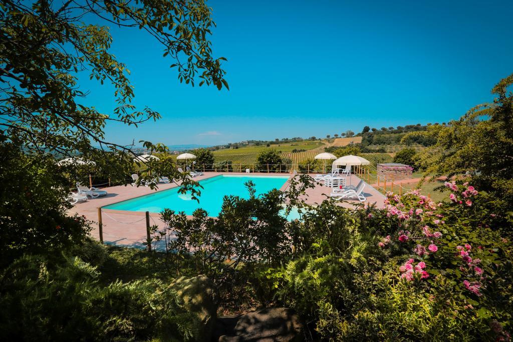 Agriturismo Il Divin Casale Torgiano Exteriör bild